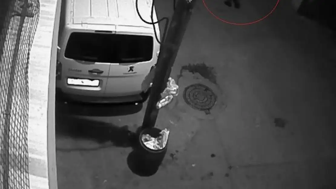 Bursa'da otomobil kundaklama anları güvenlik kamerasına yansıdı