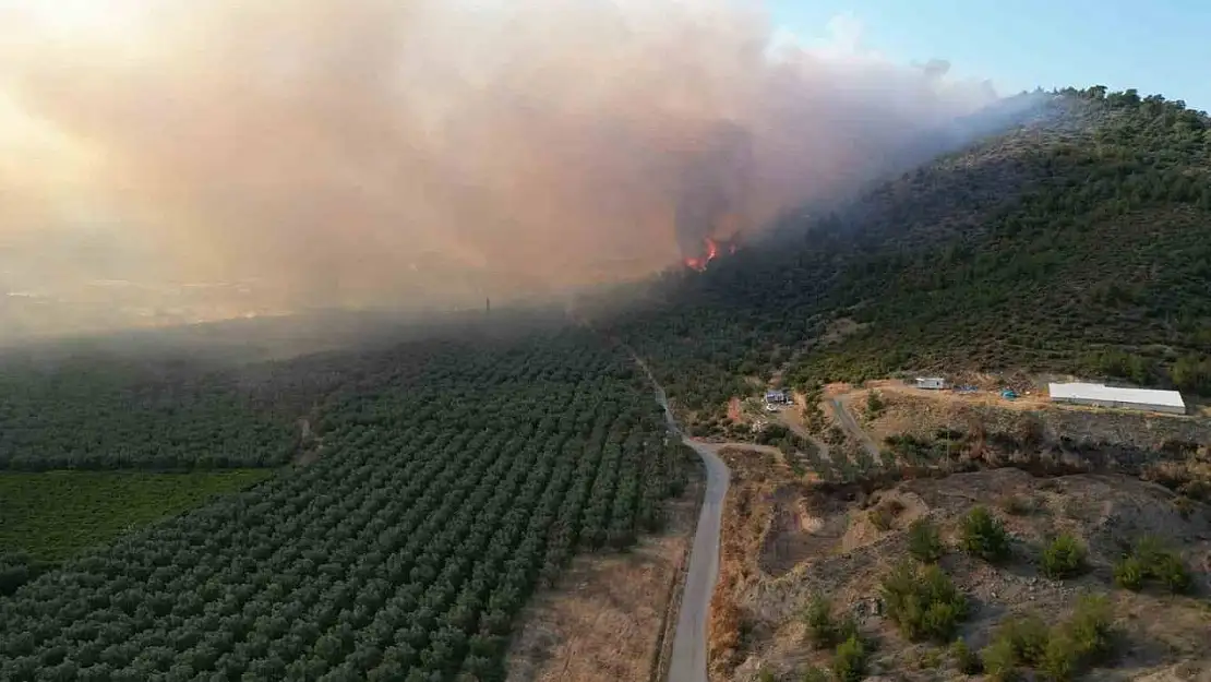 Bursa'da yangın