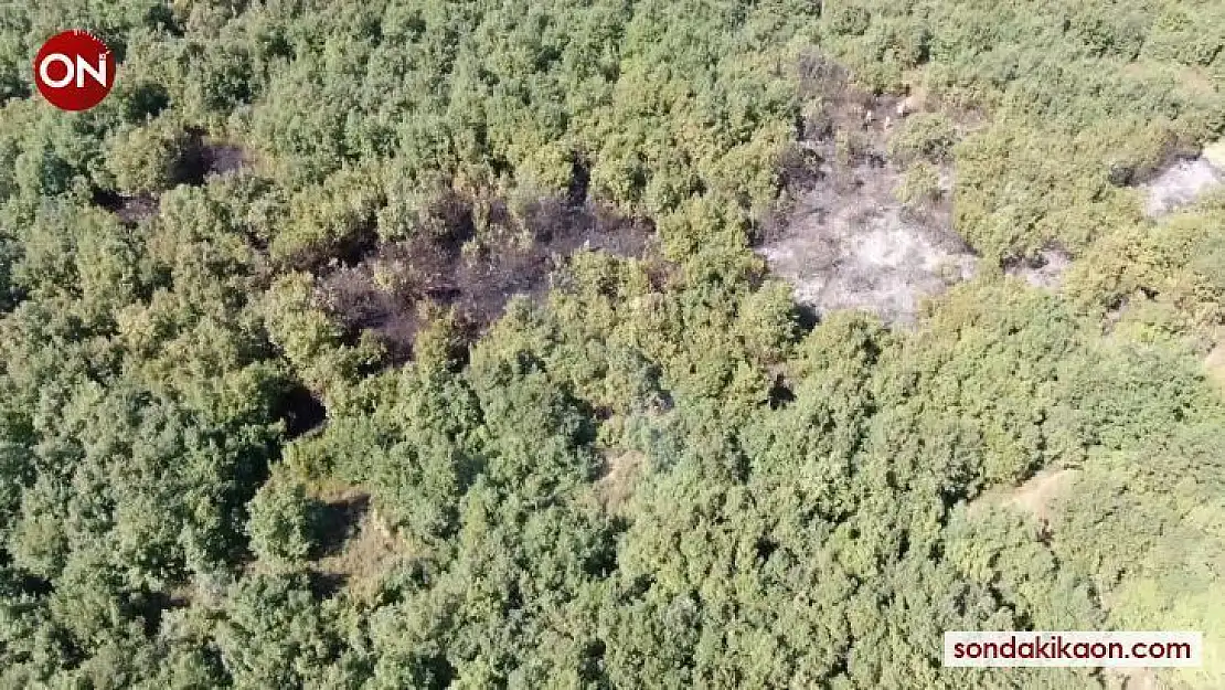 Bursa'da yerleşim alanına yakın bulunan ormanlık alandaki yangın kısa sürede söndürüldü