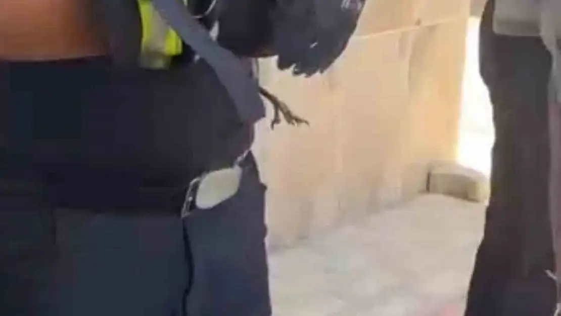 Bursa'da yürekleri ısıtan kurtarma Yavru karga ağaca sıkıştı, çaresizce bekledi