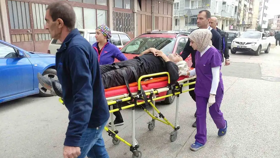 Bursa'da zeytin budarken ağaçtan düşen adam yaralandı