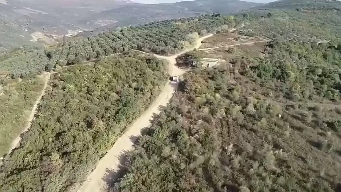 Bursa'da zeytin hırsızlarına dronlu denetim