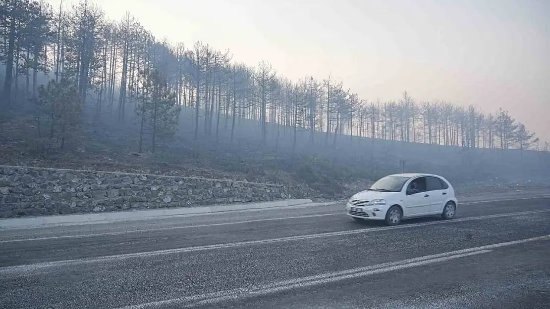 Bursa'daki orman yangını 3. gününde... Gökyüzünü kaplayan duman bulutundan göz gözü görmüyor