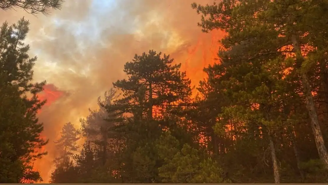 Bursa'daki orman yangınına müdahale artıyor