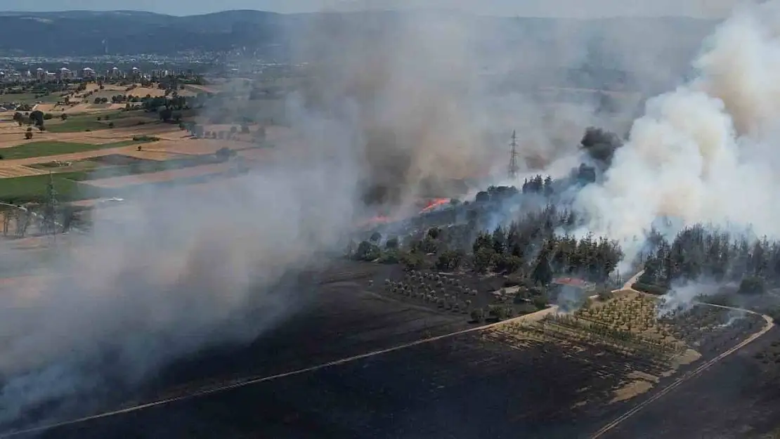 Bursa'daki yangın ormana sıçradı