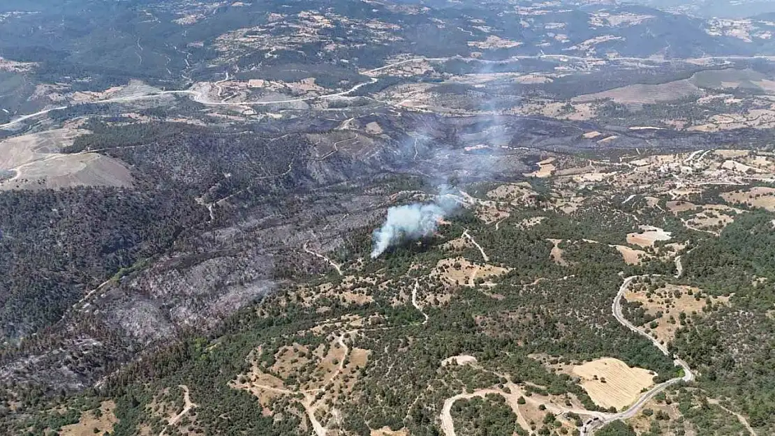 Bursa'daki yangın tekrar başladı