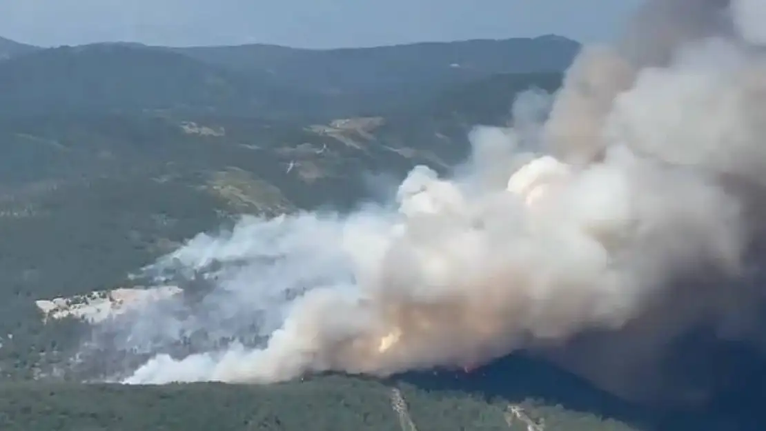 Bursa'daki yangının boyutu havadan görüntülendi