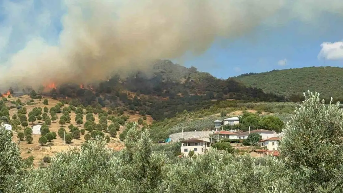 Bursa İznik'te büyük orman yangını