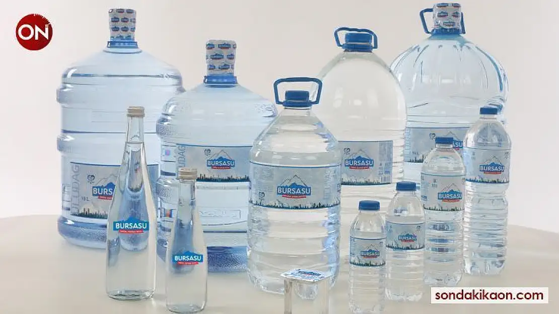 Bursasu sınırları aşıyor
