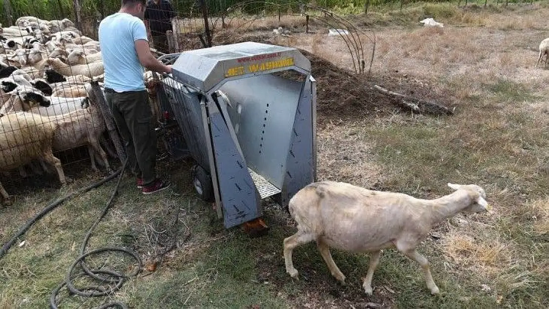 Büyükşehir'den hayvan üreticilerine ilaçlama desteği