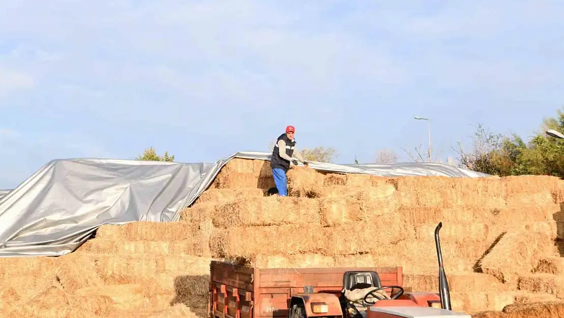 Büyükşehir'den küçük üreticiye ot balyası desteği