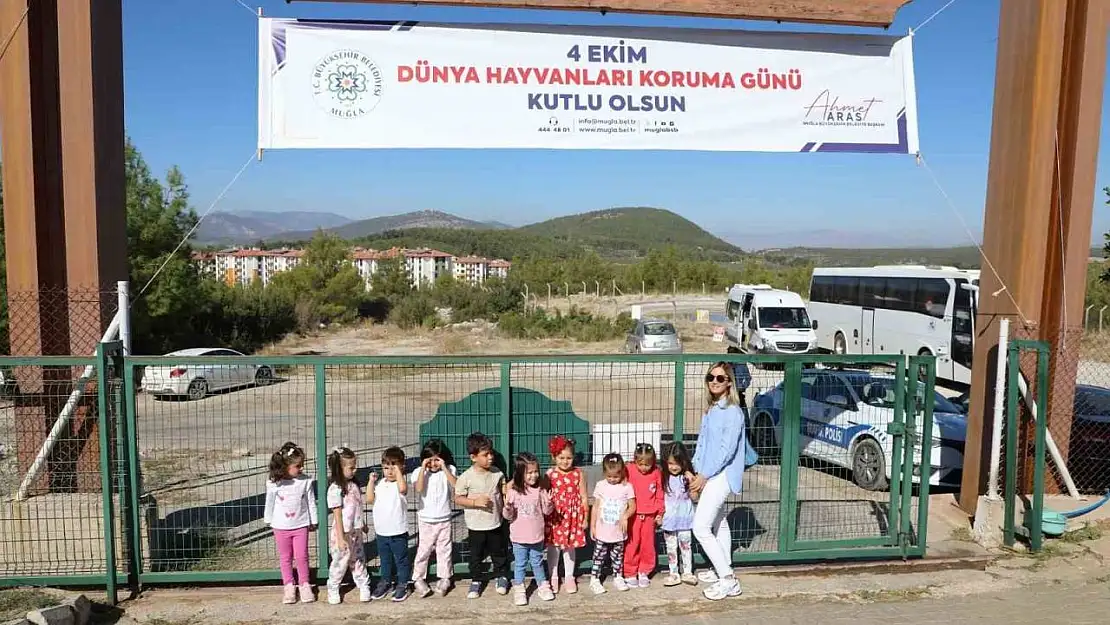 Büyükşehir Geçici Hayvan Bakımevi'nden 3 bin 779 can dosta yeni yuva