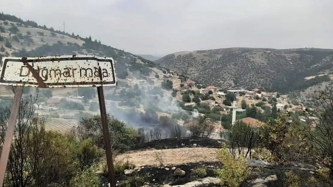 Çal'daki orman yangını kontrol altına alındı