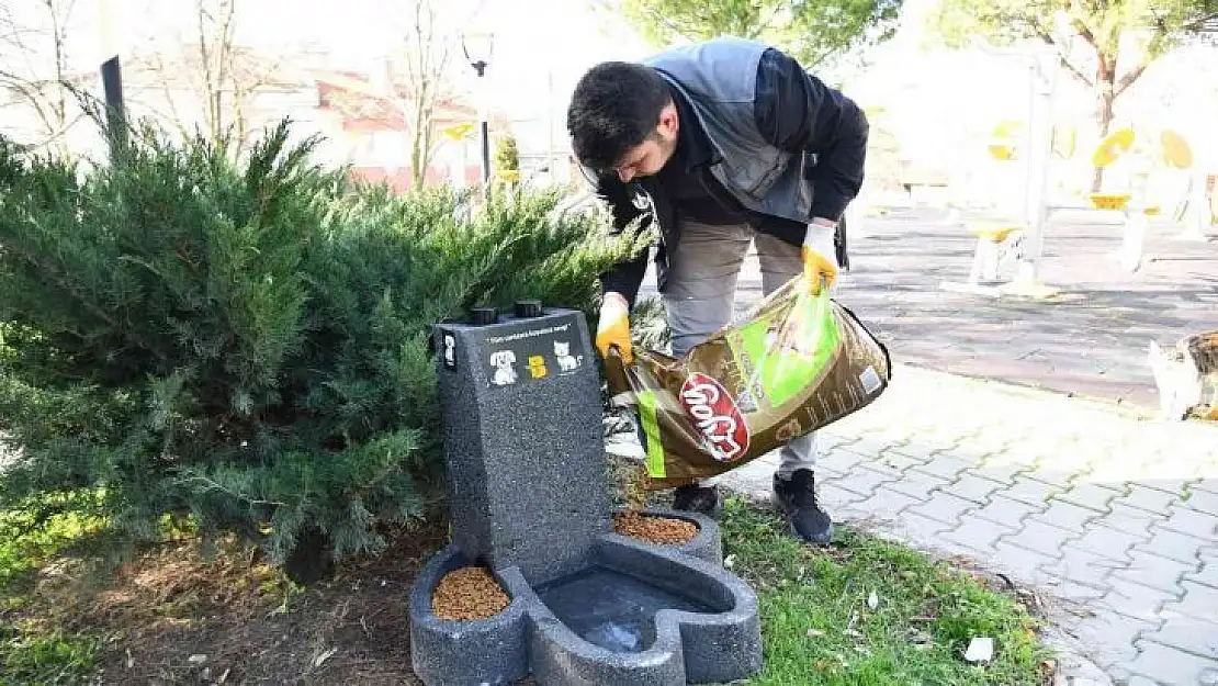 Can dostların mamaları 'patiler' sayesinde ıslanmayacak