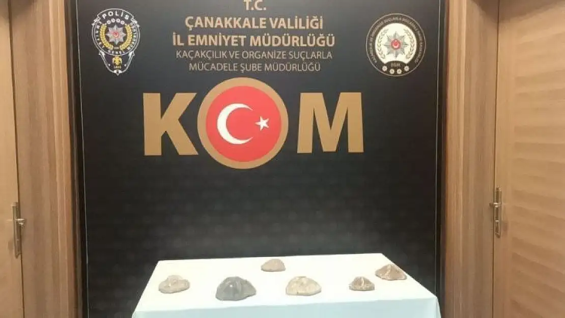 Çanakkale'de 6 milyon değerinde denizyıldızı fosilleri ele geçirildi