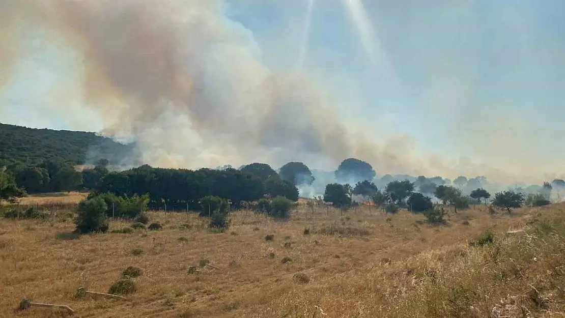 Çanakkale'de alevlerin tehdit ettiği köy boşaltıldı