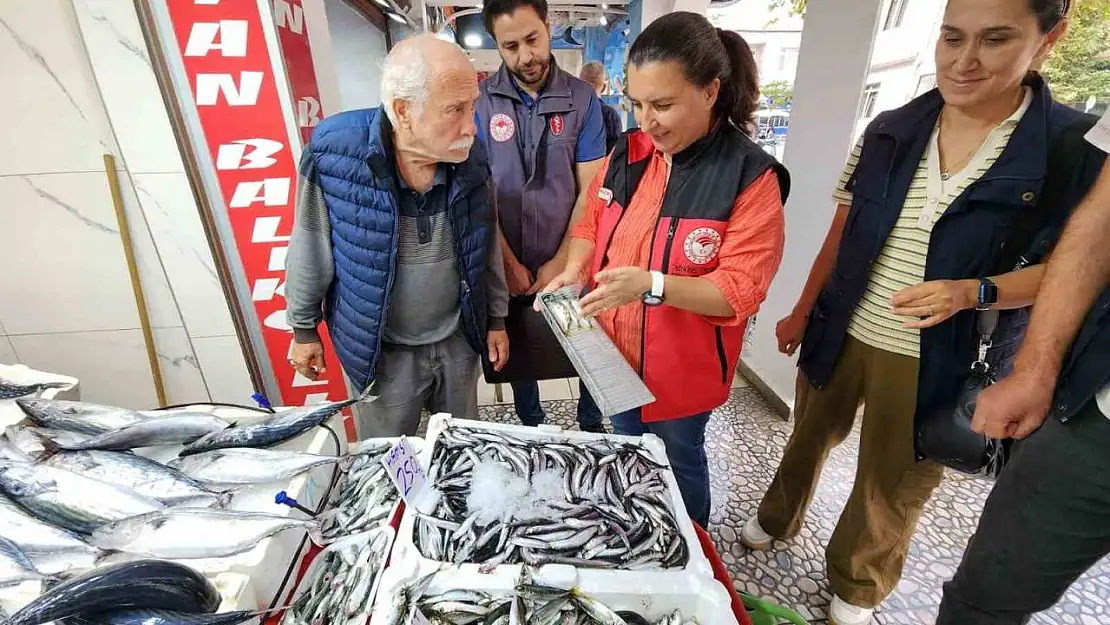 Çanakkale'de Balık Denetimi: Yasal Avlanma Boyları ve Hijyen Kontrolleri Yapıldı