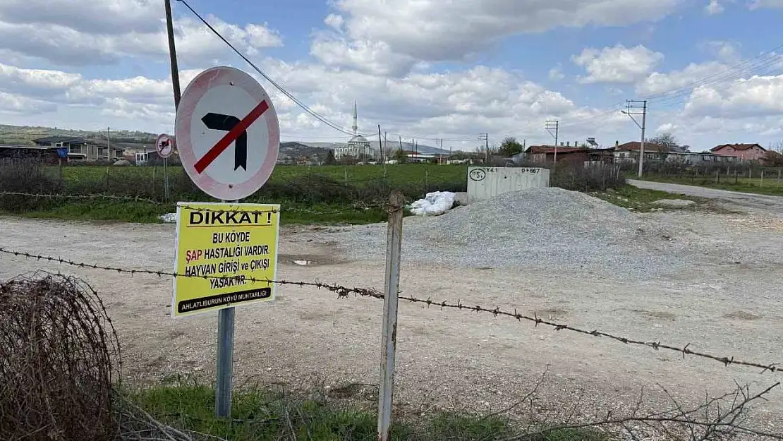 Çanakkale'de bir köye daha şap karantinası