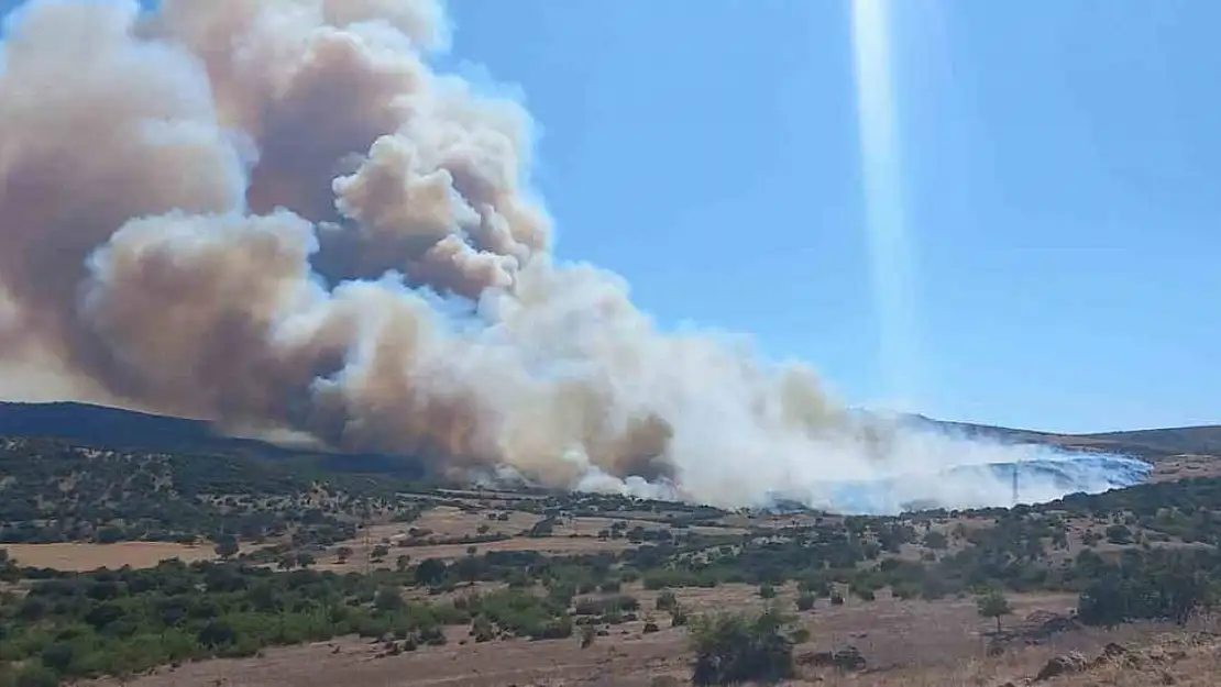 Çanakkale'de çöplükte başlayan yangın ormanlık alana sıçradı