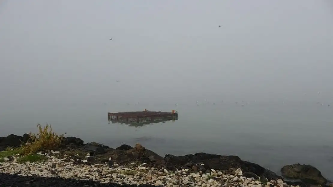 Çanakkale'de, Gelibolu- Lapseki feribot seferleri yeniden başladı