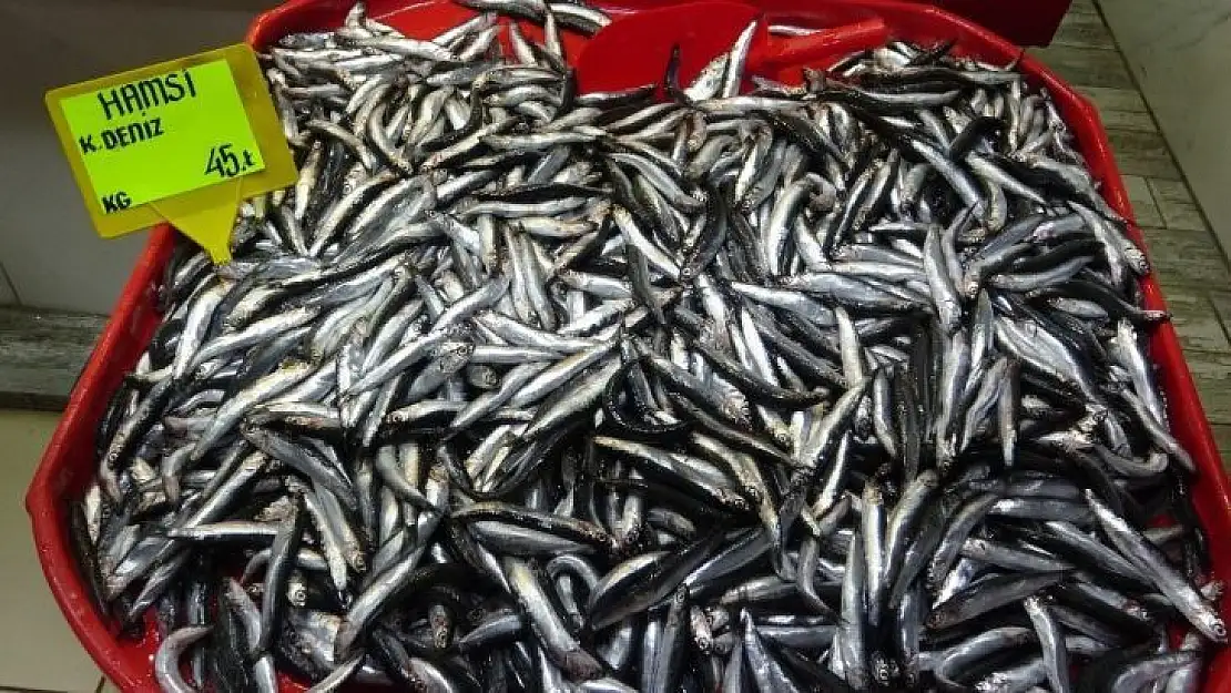 Çanakkale'de hamsi fiyatları 45 lira oldu