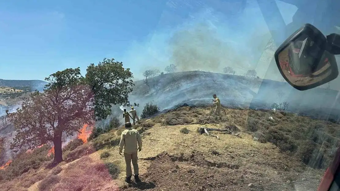 Çanakkale'de makilik alanda yangın