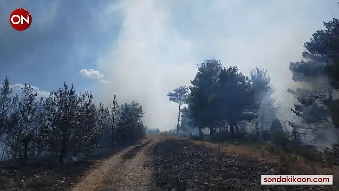 Çanakkale'de orman yangını alevler gökyüzünü kapladı