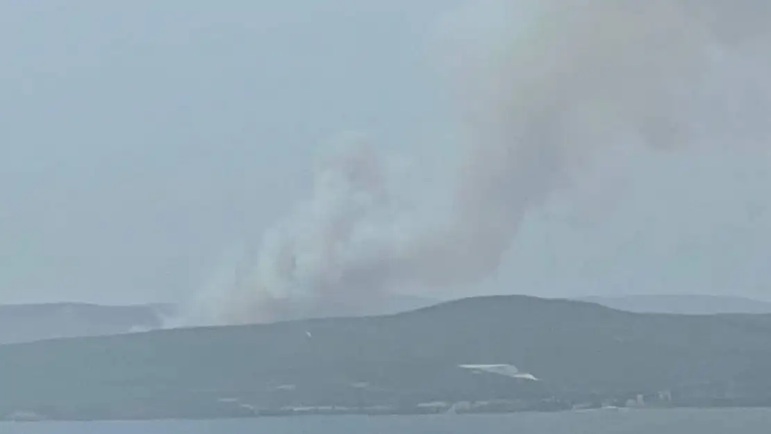 Çanakkale'de orman yangını