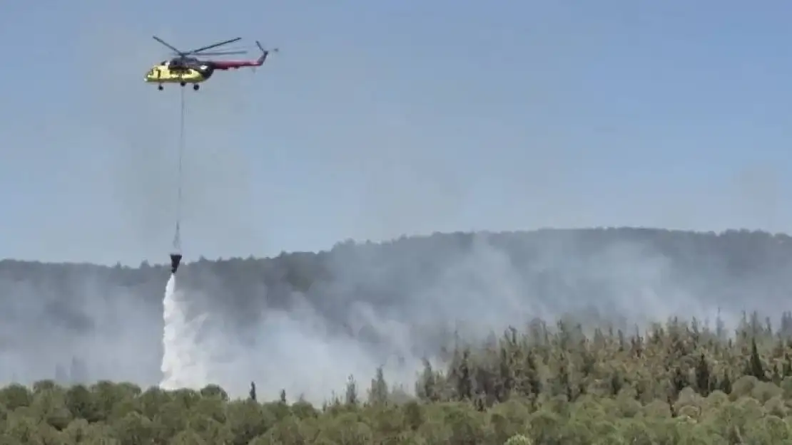 Çanakkale'de orman yangını