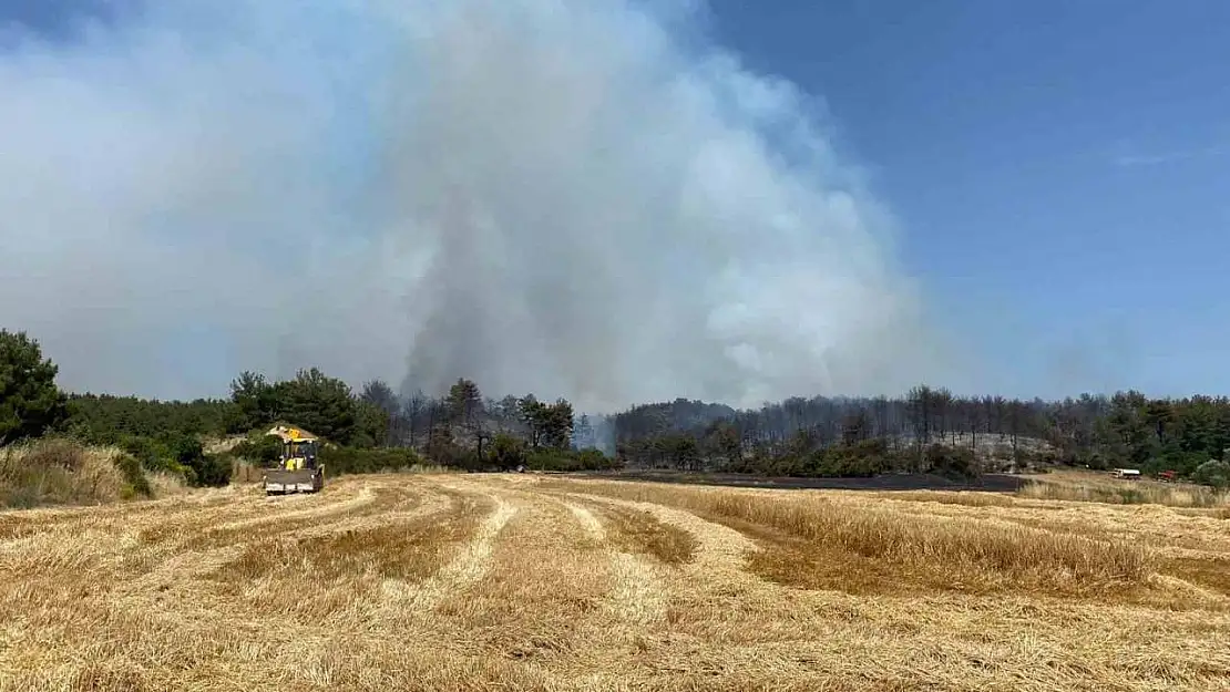 Çanakkale'de orman yangınına 9 uçak ve 5 helikopterle müdahale ediliyor