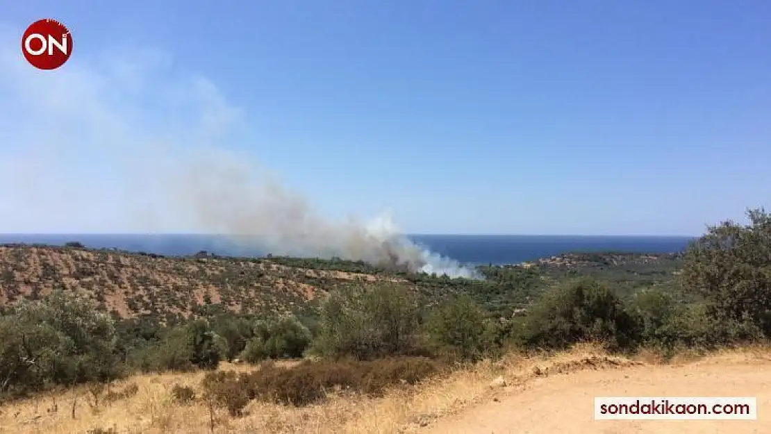 Çanakkale'de orman yangınına havadan müdahale ediliyor