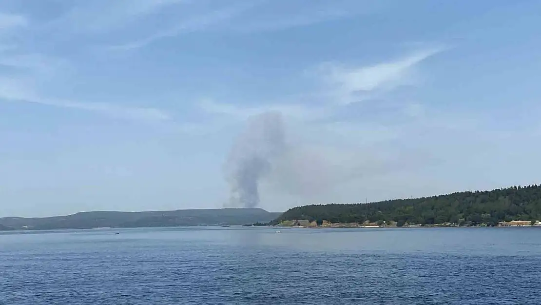 Çanakkale'de orman yangınına havadan ve karadan müdahale ediliyor