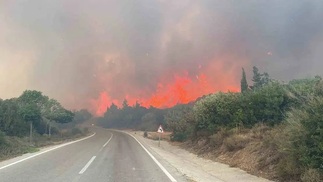 Çanakkale'de ormanlara giriş yasağı 30 Kasım'a kadar uzatıldı