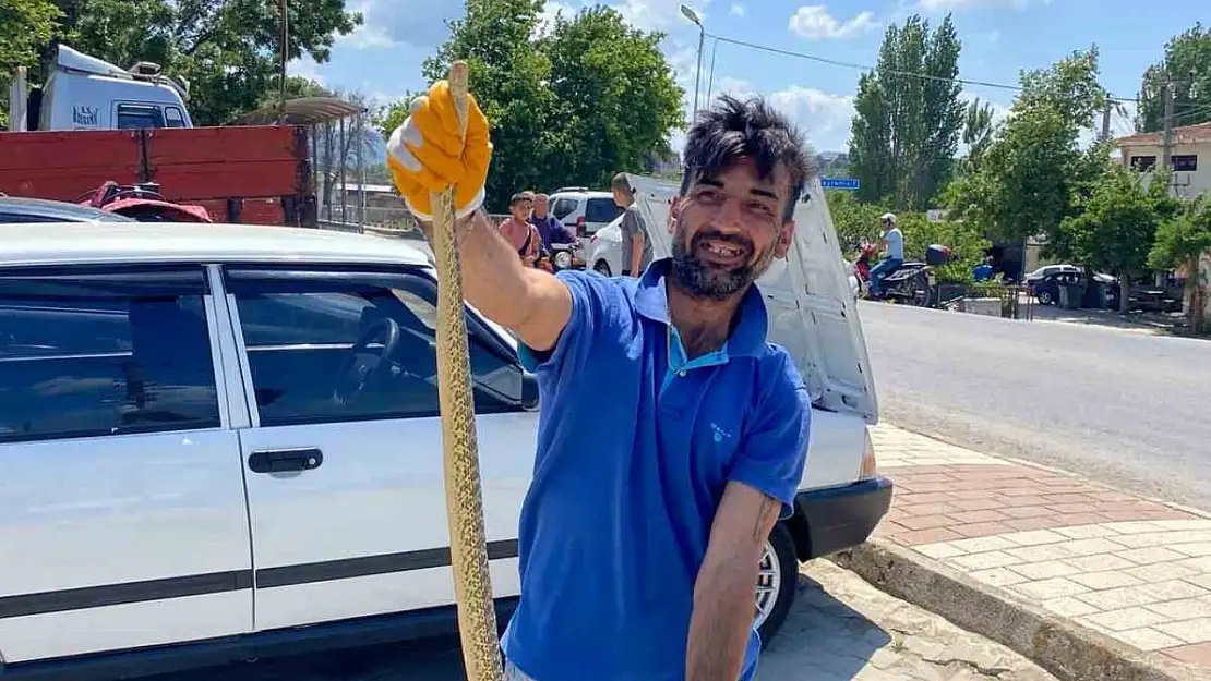 Çanakkale'de otomobilin motor kısmından engerek yılanı çıktı