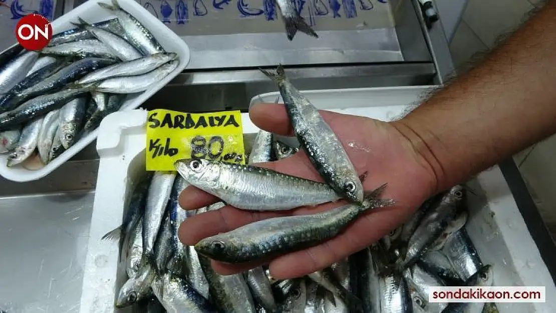 Çanakkale'de sardalyanın kilosu 80, tanesi ise 3 lira oldu
