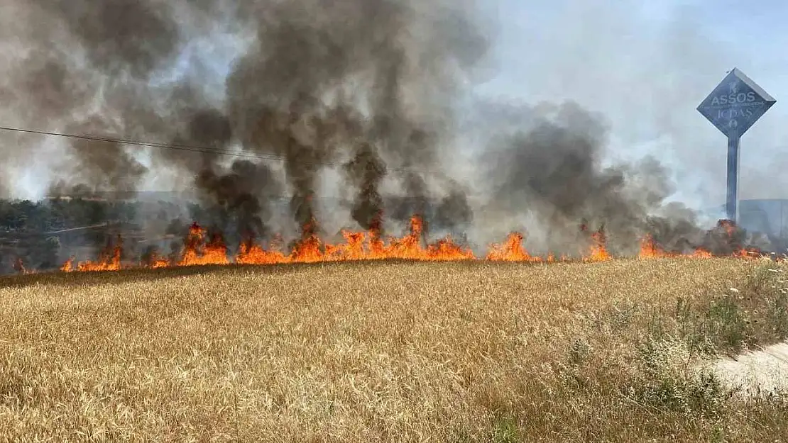 Çanakkale'de tarım alanında başlayan yangın ormanlık alana ilerliyor