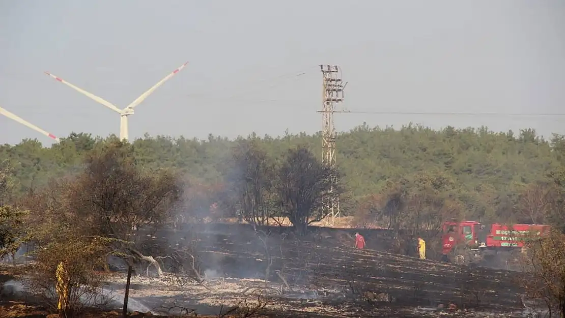 Çanakkale'de tarım arazisinde yangın