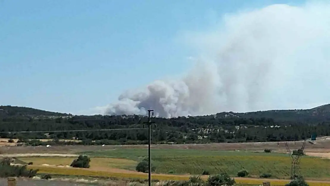 Çanakkale'de tarım arazisinde yangın