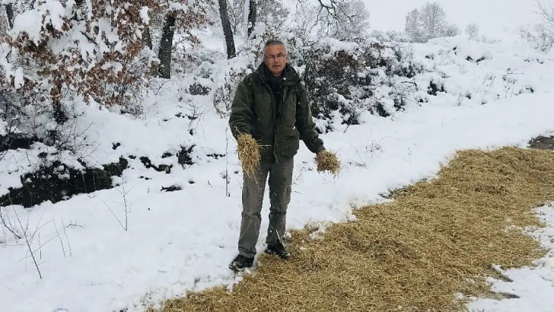 Çanakkale'de, yaban hayvanları için doğaya yem bırakıldı