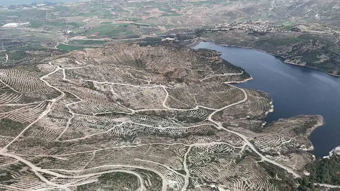 Çanakkale'de yanan ormanlar yangına dayanıklı fidanlarla yeniden yeşerdi