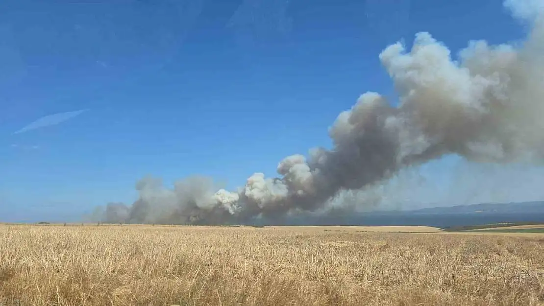 Çanakkale'de yangında yaklaşık 100 dönümlük alan zarar gördü