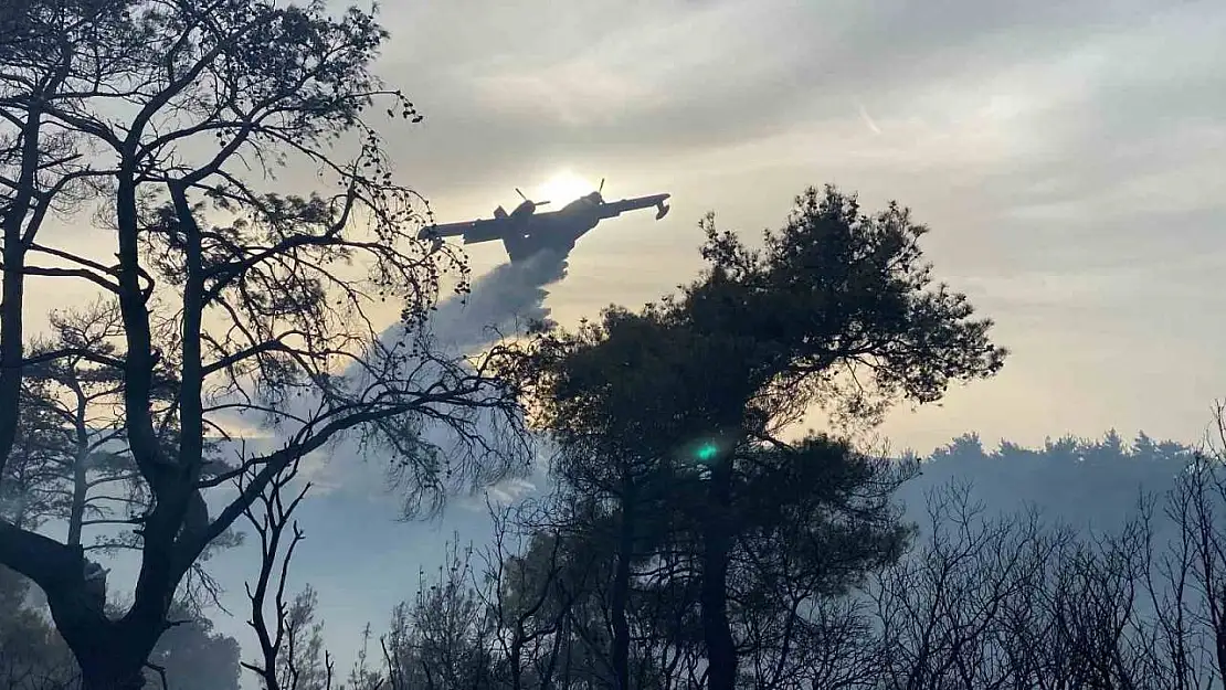 Çanakkale'deki orman yangını 8 saat sonra kontrol altına alındı