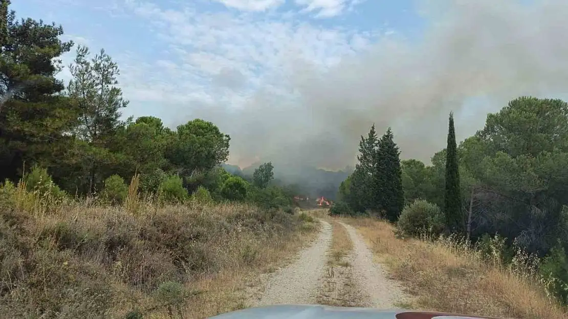 Çanakkale'deki orman yangını kontrol altına alındı