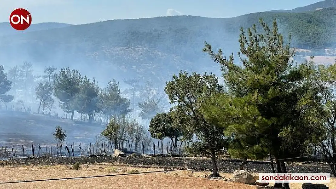 Çanakkale'deki orman yangınında 30 hektarlık alan zarar gördü