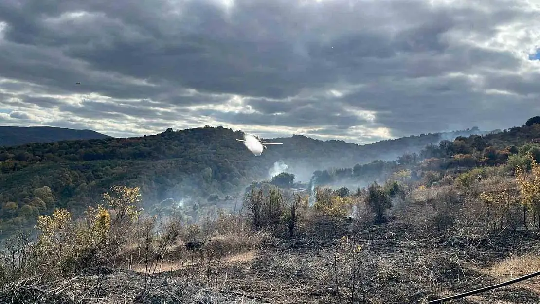 Çanakkale'deki yangında 2 hektarlık alan zarar gördü