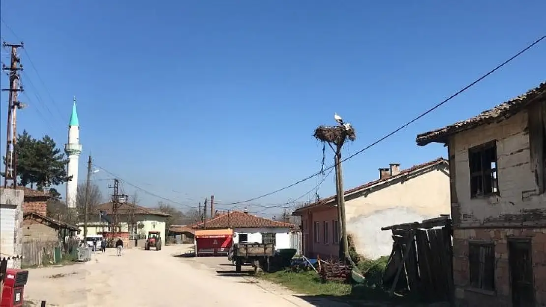 Çanakkale'ye yılın ilk leyleği geldi
