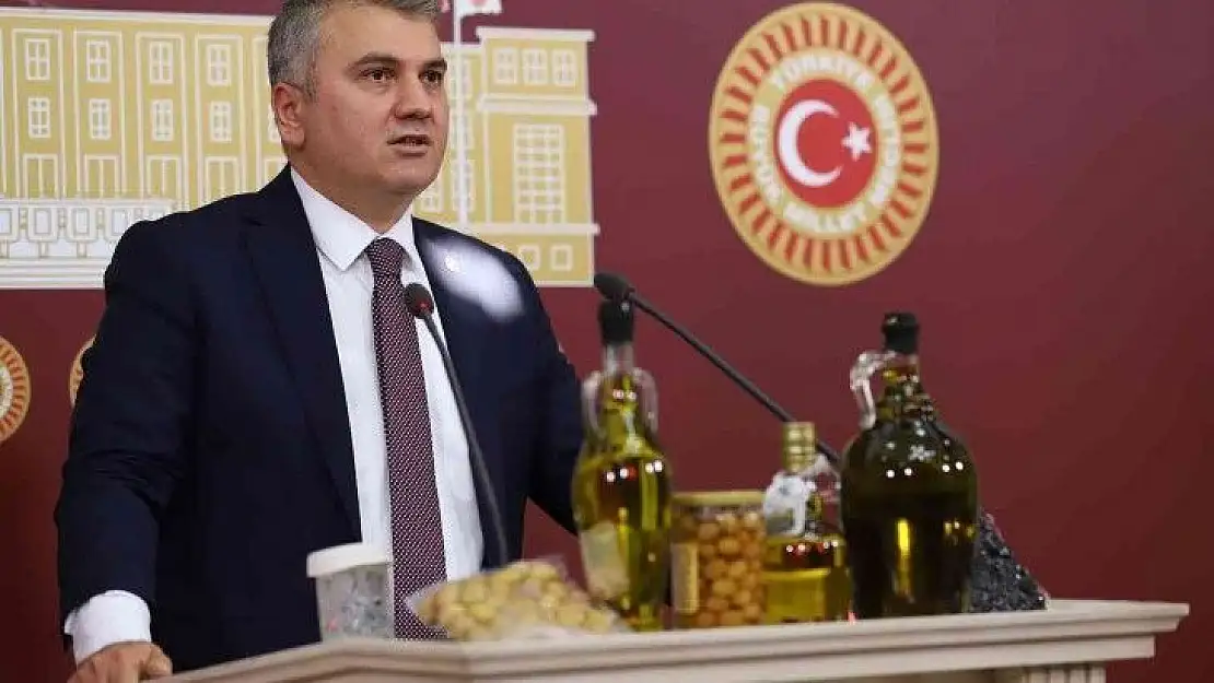 Canbey, TBMM'de Balıkesir Zeytinyağını Anlattı