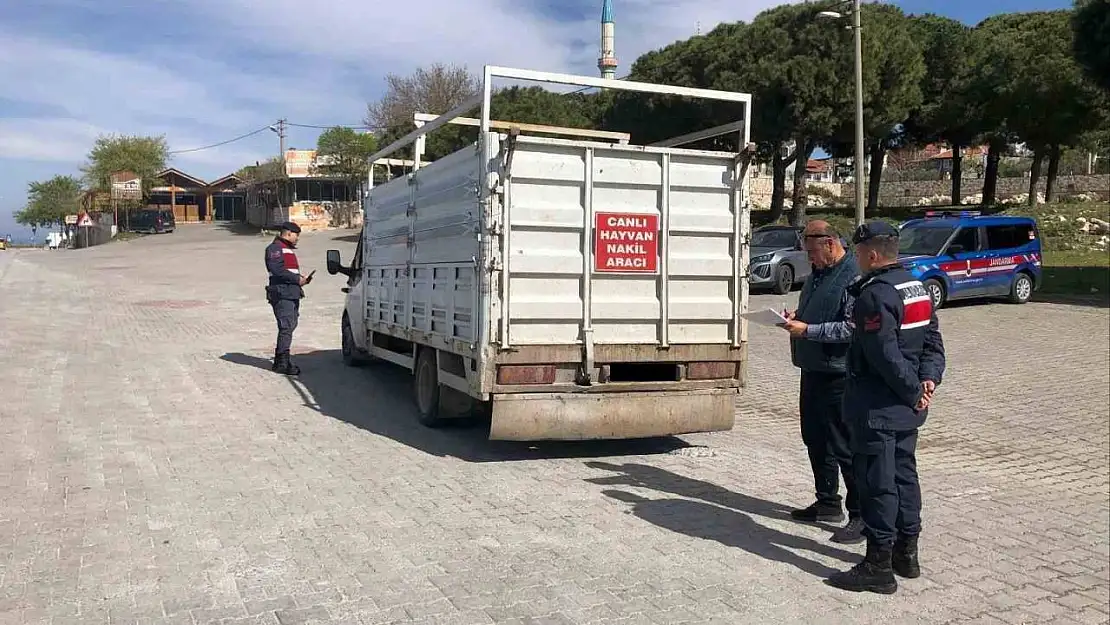Canlı hayvan taşıyan araçlar denetlendi