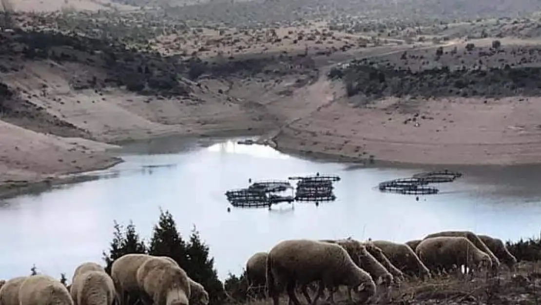 Çavdarhisar baraj göletinde su seviyesi azaldı
