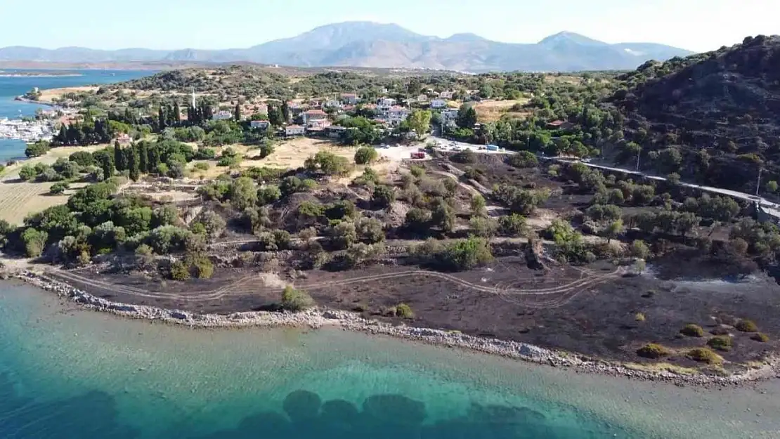 Çeşme'de yanan alan havadan görüntülendi